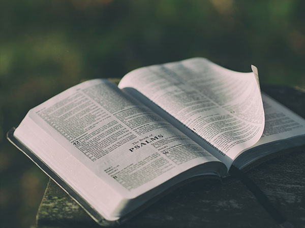 Daily Readings